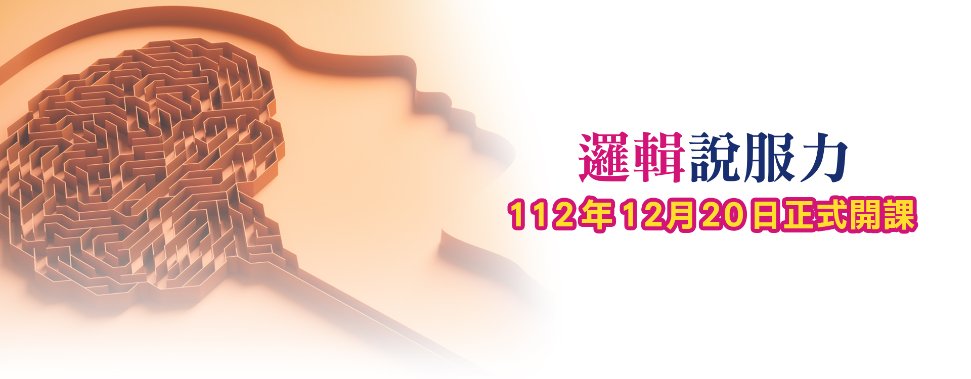邏輯說服力